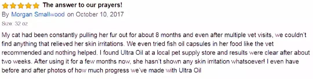 小猫皮肤溃烂被遗弃，新主人不顾病危通知，坚持治疗换来新生！