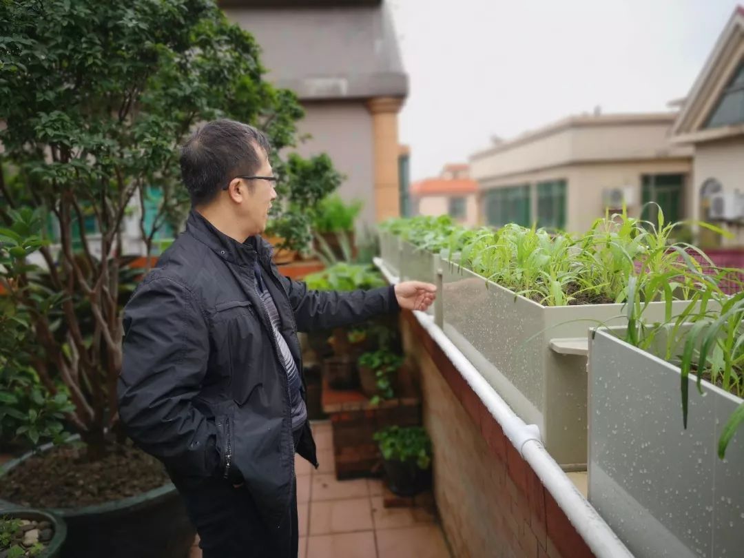 天台果园种植视频,天台农民的果园