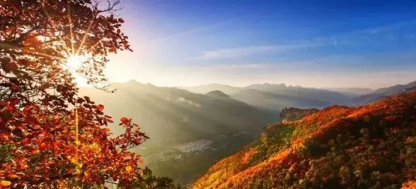 “五一”去哪玩？潍坊假期超丰富文旅大餐来袭！