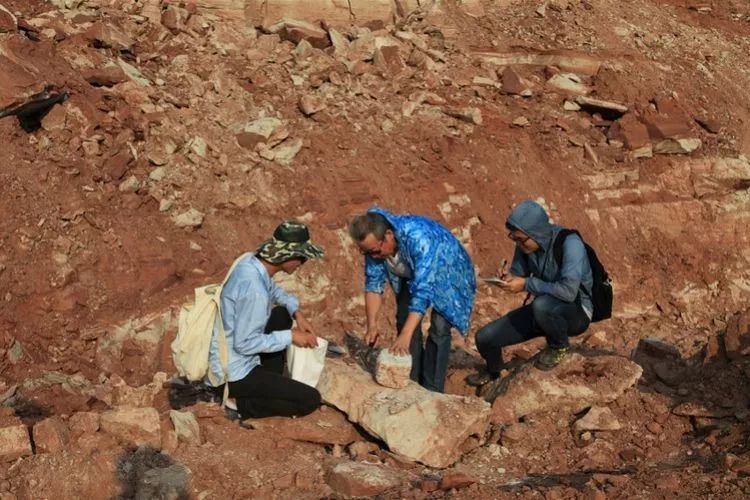 丹霞地貌中国,丹霞新材料