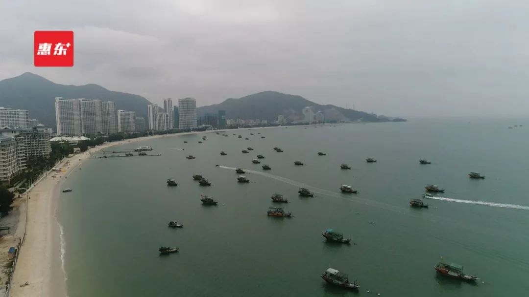 巽寮：“以节扬名”打造滨海旅游新亮点