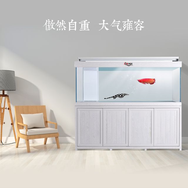 如何选择合适的鱼缸,如何选择一款适合自己的鱼缸