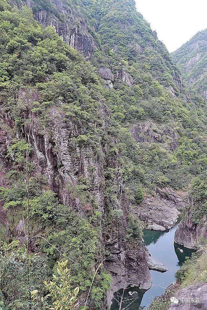 温州这座“孤岛”与世隔绝只有一户人家