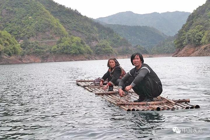 温州这座“孤岛”与世隔绝只有一户人家