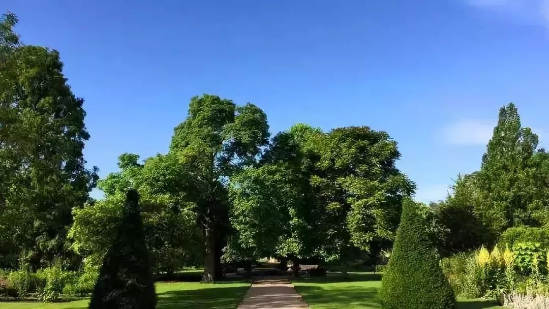 待天气晴好,伦敦阴雨天去哪旅游好