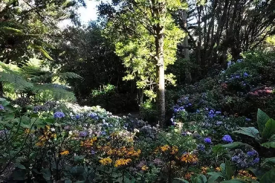 待天气晴好,伦敦阴雨天去哪旅游好