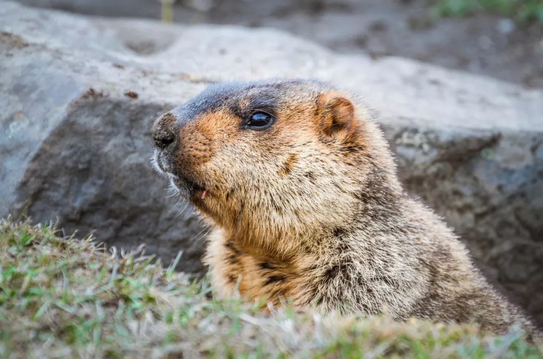 川西川西南,川西大环线适合几月去