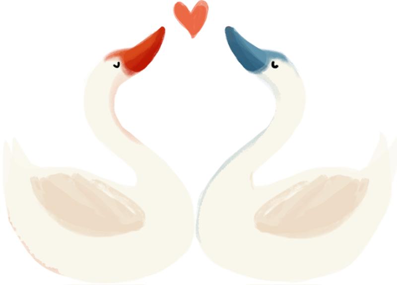 入学政策讲座,入学政策在线咨询