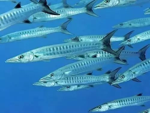 大连最新管控时间,大连最新重要通告