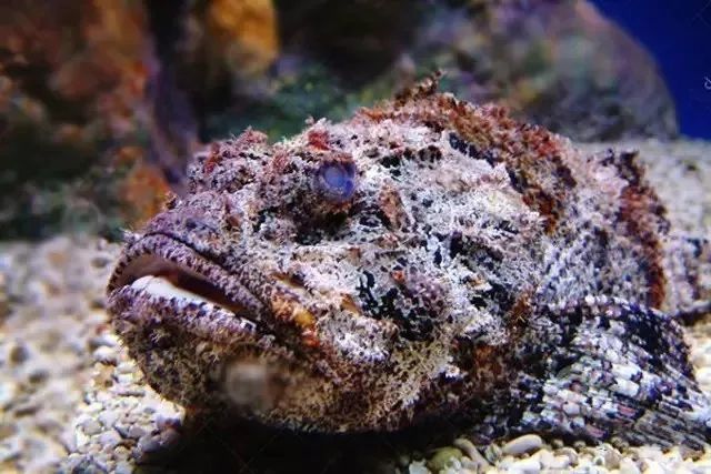 大连最新管控时间,大连最新重要通告