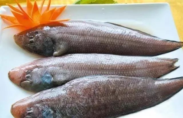 大连最新管控时间,大连最新重要通告