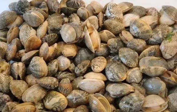 大连最新管控时间,大连最新重要通告