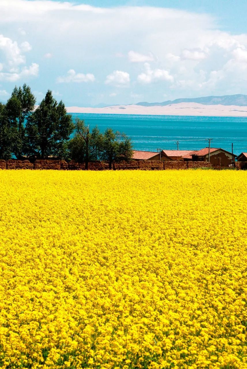 一个人说走就走旅行清单,一个人的旅行清单不用等最爱的人