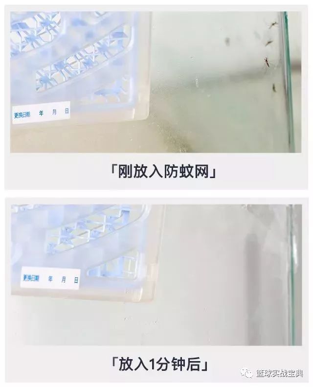 日本黑科技隐形蚊帐随手一挂,最新黑科技蚊帐