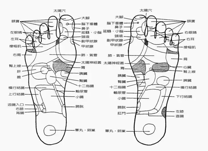 秋冬泡脚加点它,天冷了用这种方法泡脚更有利健康
