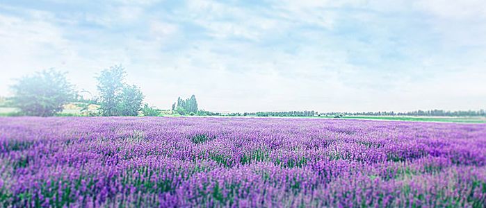 秋冬泡脚加点它,天冷了用这种方法泡脚更有利健康