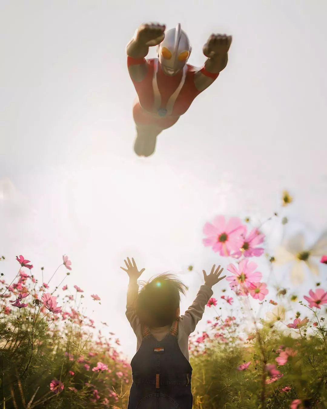 日本爸爸把男孩子拍出宫崎骏 (日本老爸把女儿拍到宫崎骏)