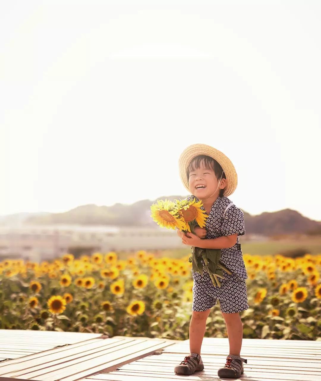 日本爸爸把男孩子拍出宫崎骏 (日本老爸把女儿拍到宫崎骏)