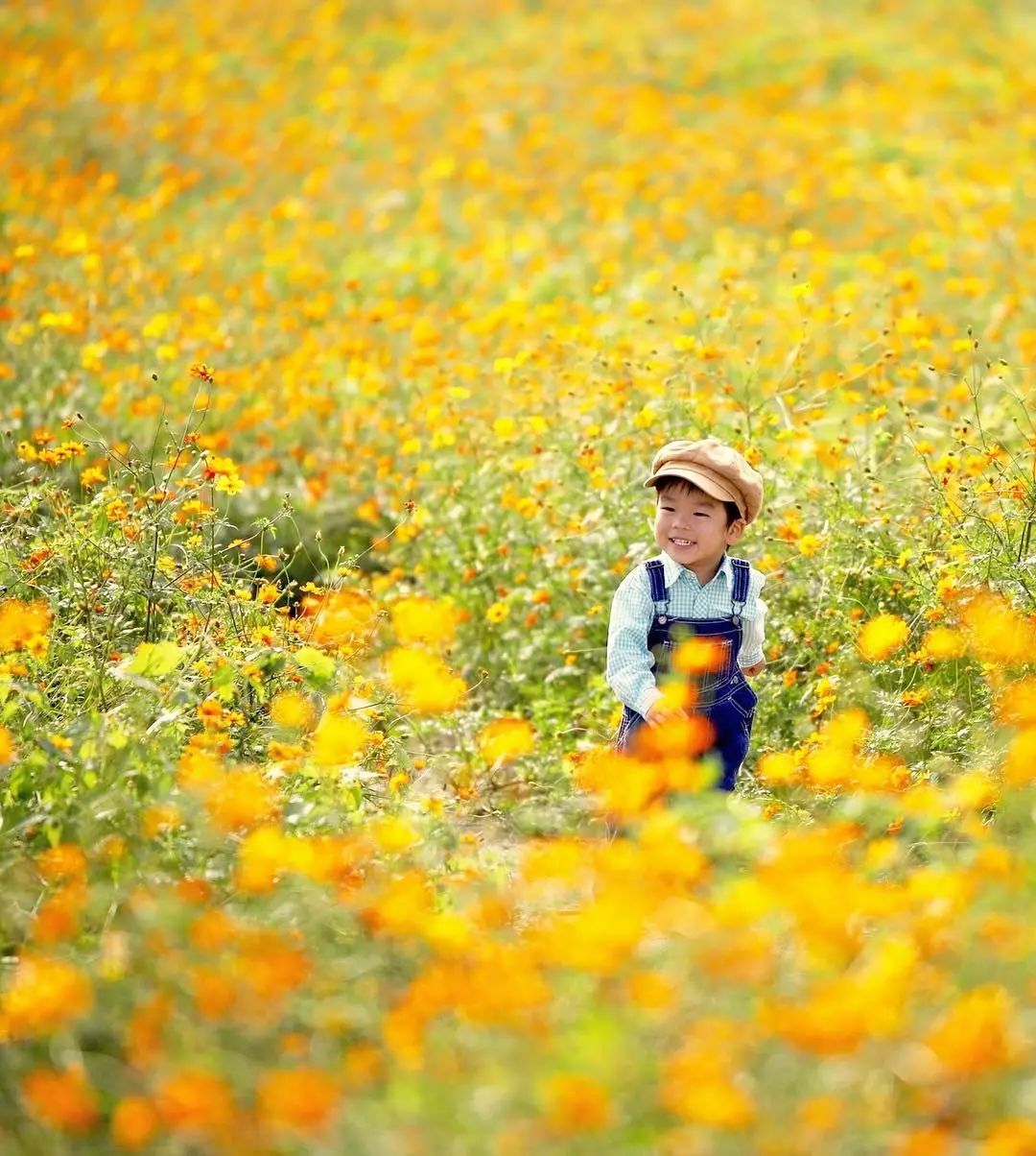 日本爸爸把男孩子拍出宫崎骏 (日本老爸把女儿拍到宫崎骏)