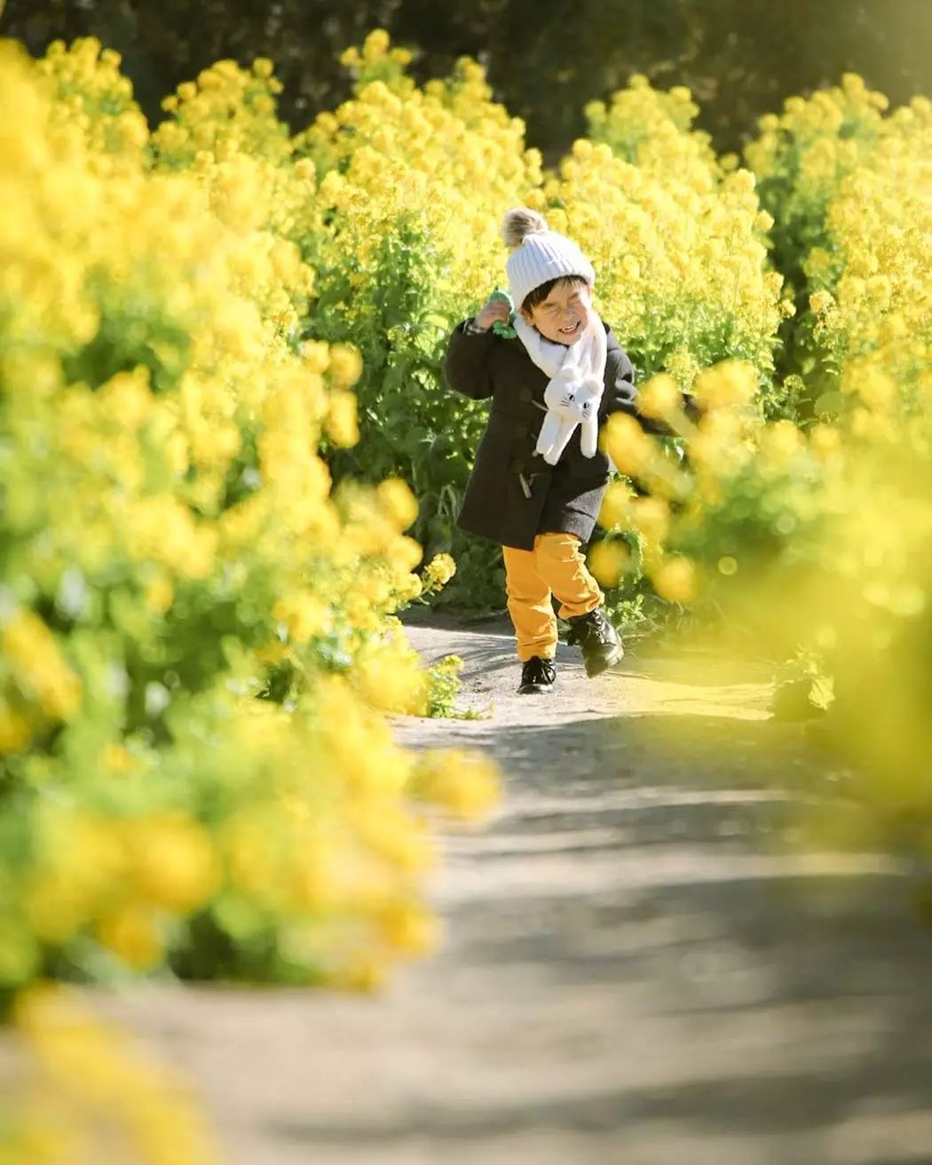 日本爸爸把男孩子拍出宫崎骏 (日本老爸把女儿拍到宫崎骏)