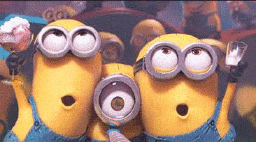 五一出游去鸟岛怎么预约,世博园鸟岛一日游