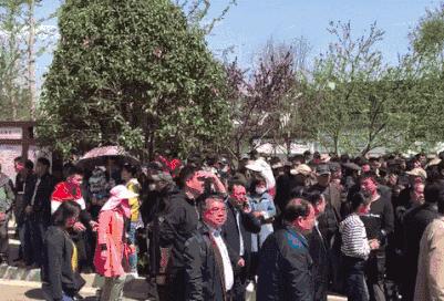 娌槼鏃呮父璺嚎鎺ㄨ崘,姹熻嫃娌槼鏃呮父鏀荤暐璺嚎