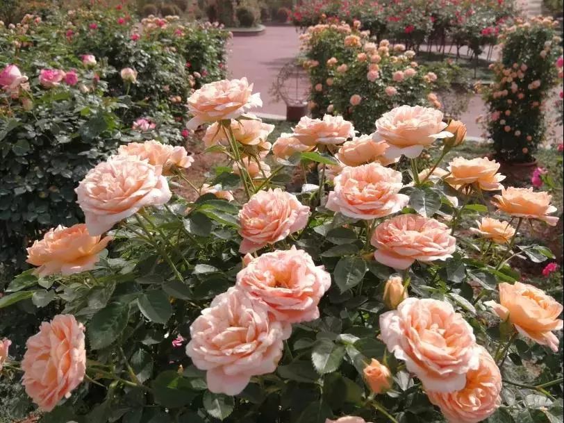 湘潭五一2-3天短途旅游,夏季湘潭周边游