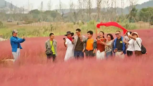 已爆满！刚刚湖州这个景区发出紧急通知，请前往周边游玩