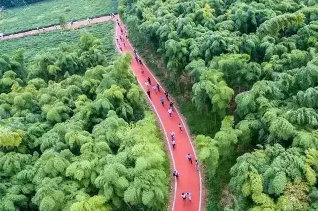 已爆满！刚刚湖州这个景区发出紧急通知，请前往周边游玩