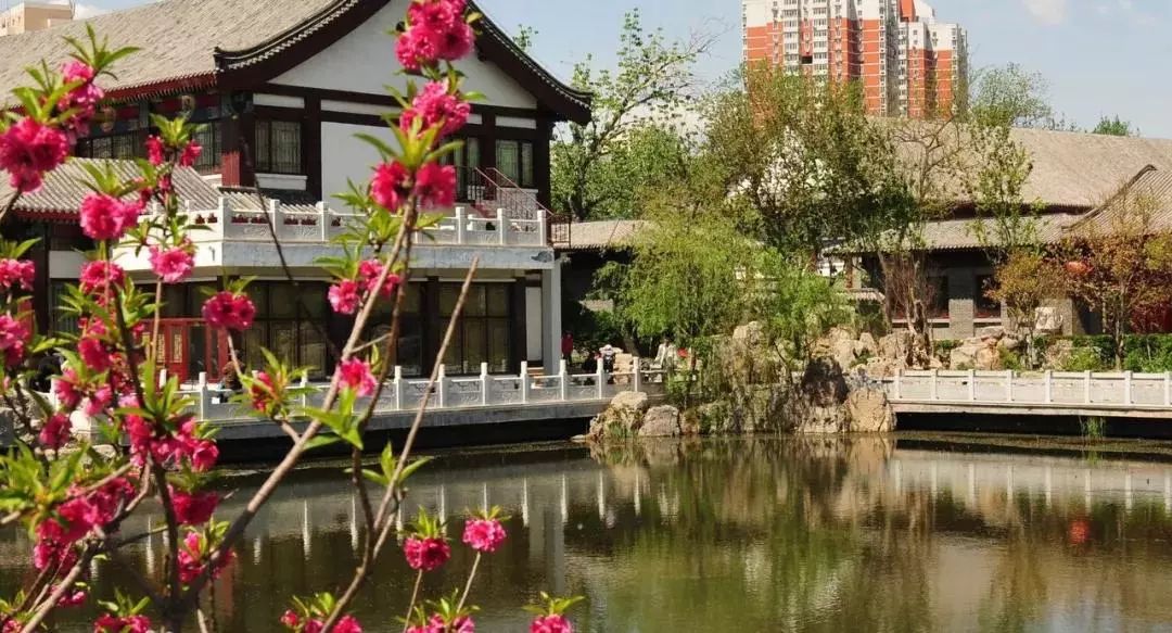 城事丨天津竟然有这么多免费公园可逛，趁假期最后一天赶紧去逛逛吧！