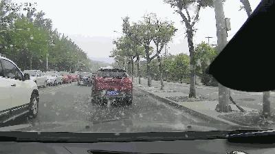 最近过半中国人都在噗噗噗呸呸，一开门，心里飘过一万头羊驼…