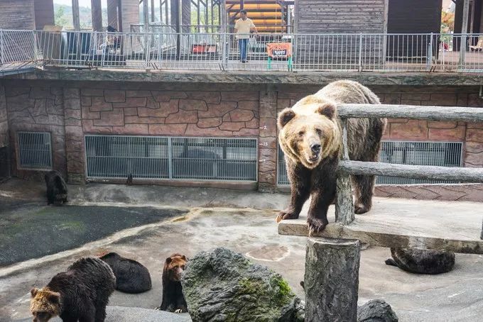 日本十大顶级宝库,日本隐藏的宝藏