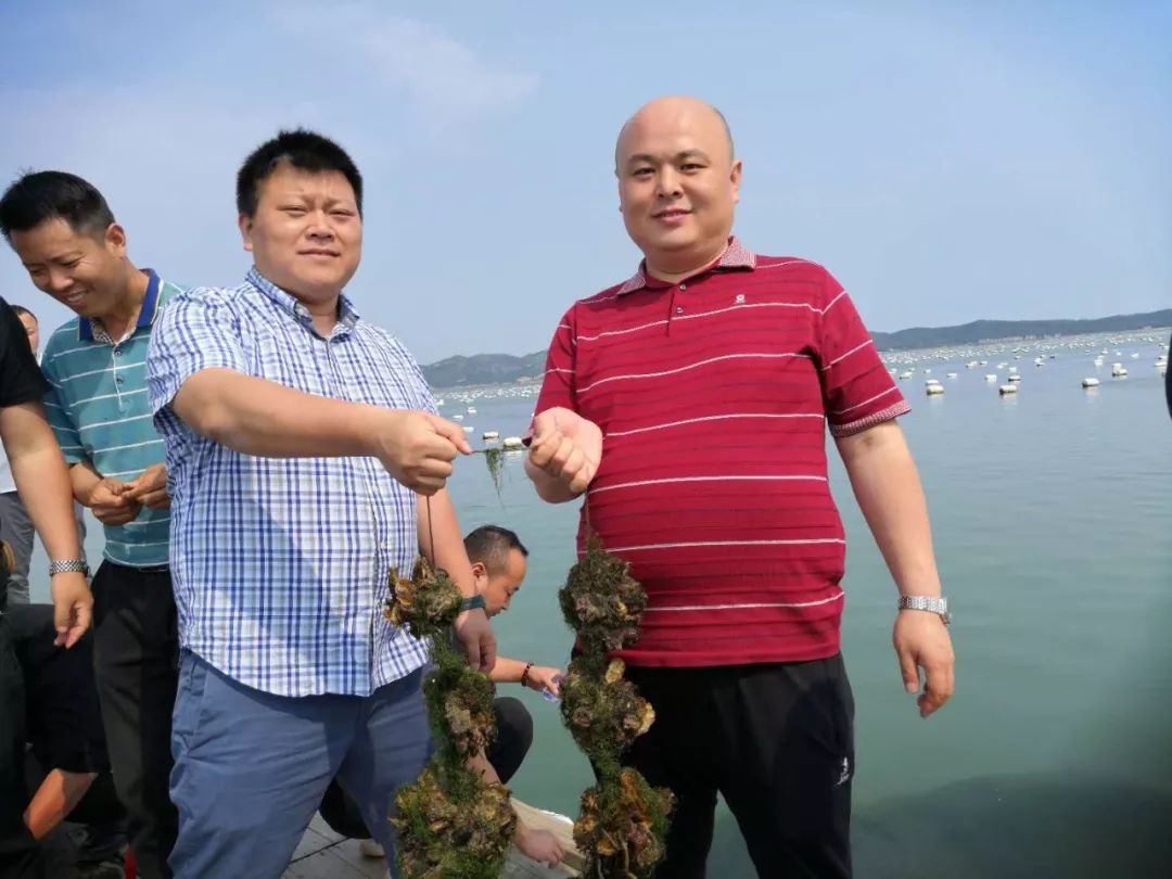 牡蛎碳酸钙颗粒的危害,牡蛎碳酸钙片副作用