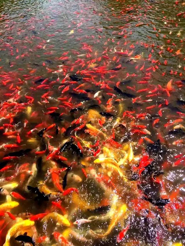 鲅鱼圈几月份适合旅行,鲅鱼圈下雨天适合去哪里玩