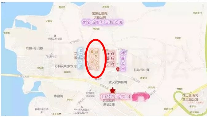 光谷花山乐鸣中学,花山华中科技大学附属中小学