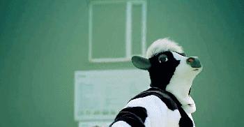 低脂奶舒化奶怎么选,有机奶和舒化奶