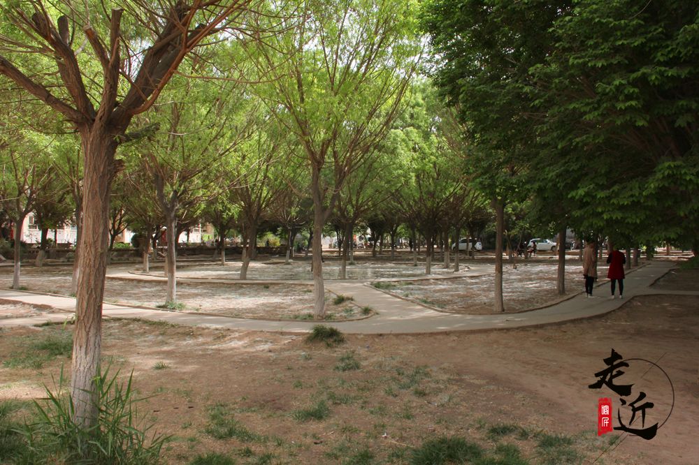 1958年的喀什棉纺织厂老照片,80年代喀什纺织厂