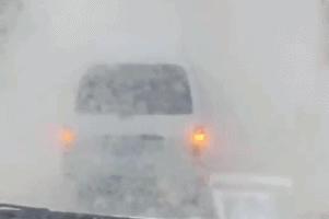 最近过半中国人都在噗噗噗呸呸，一开门，心里飘过一万头羊驼…