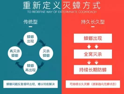轻轻一贴蟑螂一窝端,广州蟑螂怎么消灭