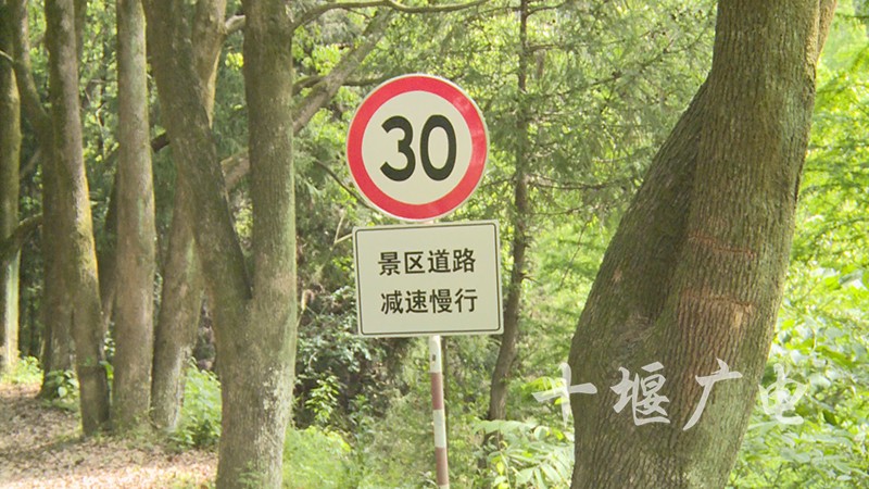 牛头山国家森林公园路修好了没有,牛头山森林公园改造