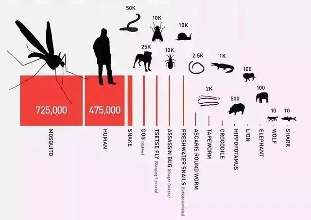 日本驱蚊好物,夏天灭蚊必备好物