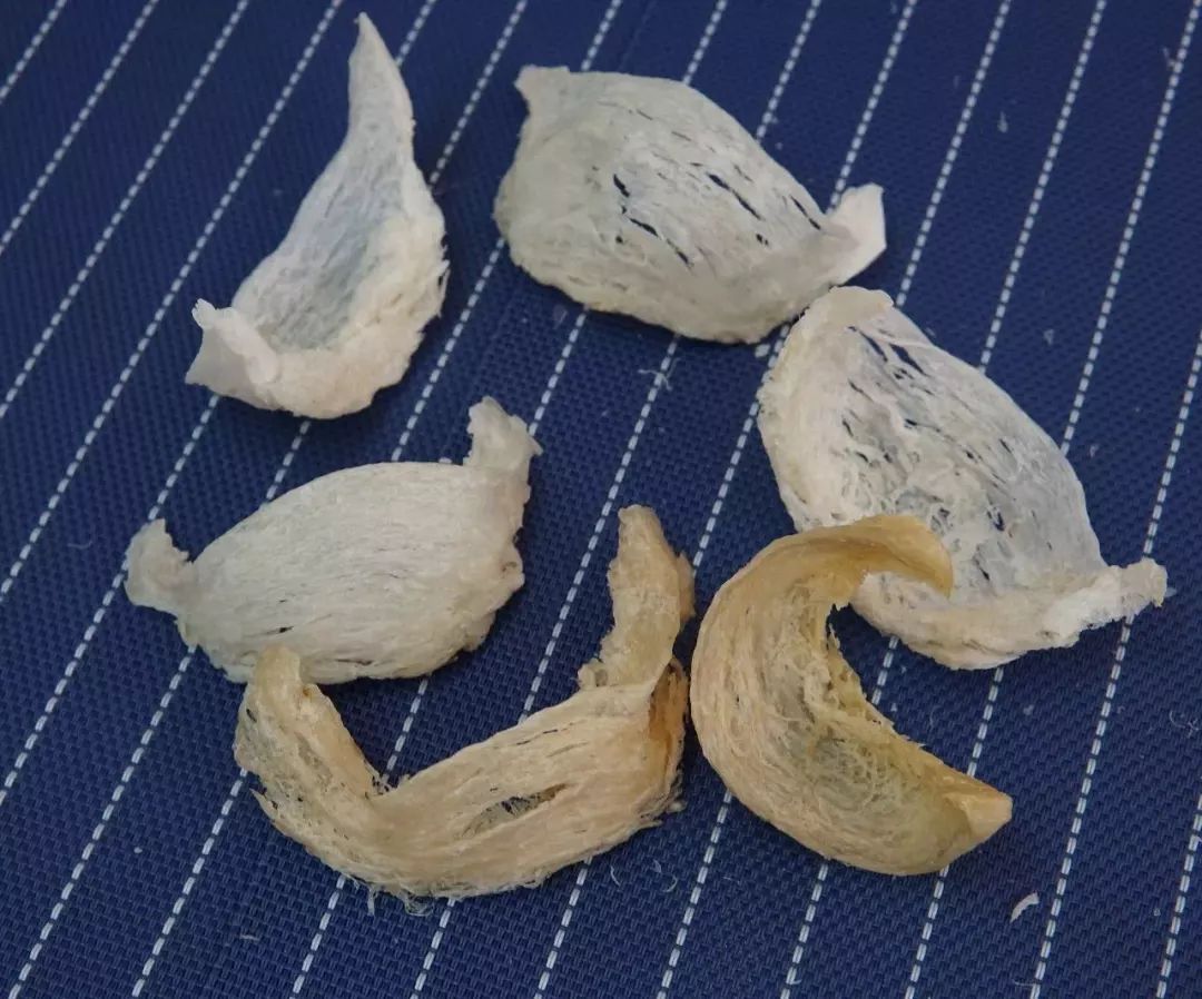 cici推荐的礼物,cici活动