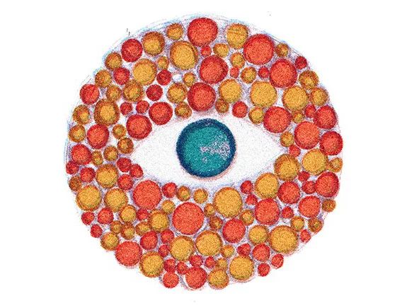 数亿色盲者的希望，可能在这只“超能力猴”身上