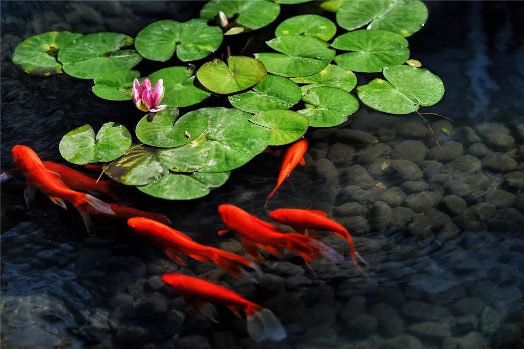 上海最高楼云端上的风景,在上海最高的楼俯瞰风景