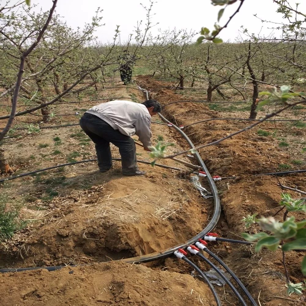 《全球视野》参访团走进顺泰植保参观学习！
