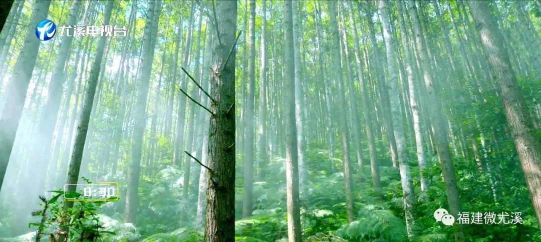 「关注」峡谷观光、高空索道、极速漂流……尤溪为什么这么受欢迎？看了这个你就知道了
