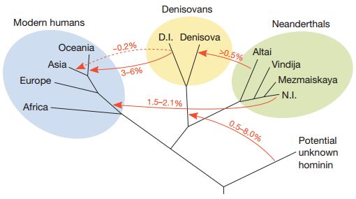 8亿男人都是11个帝王的后代？中国人到底是不是本土进化来的？答案令人诧异！