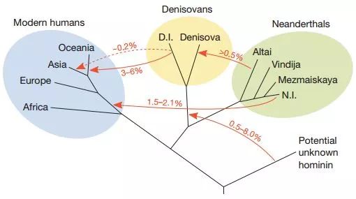 8亿男人都是11个帝王的后代？中国人到底是不是本土进化来的？答案令人诧异！