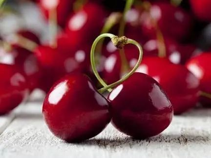 摘樱桃、做蛋糕！这个周末全家一起嗨！《周末去哪嗨》第八站火热报名开启