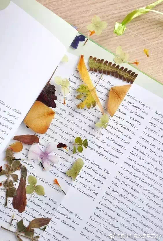干花制作室内,小干花装饰diy